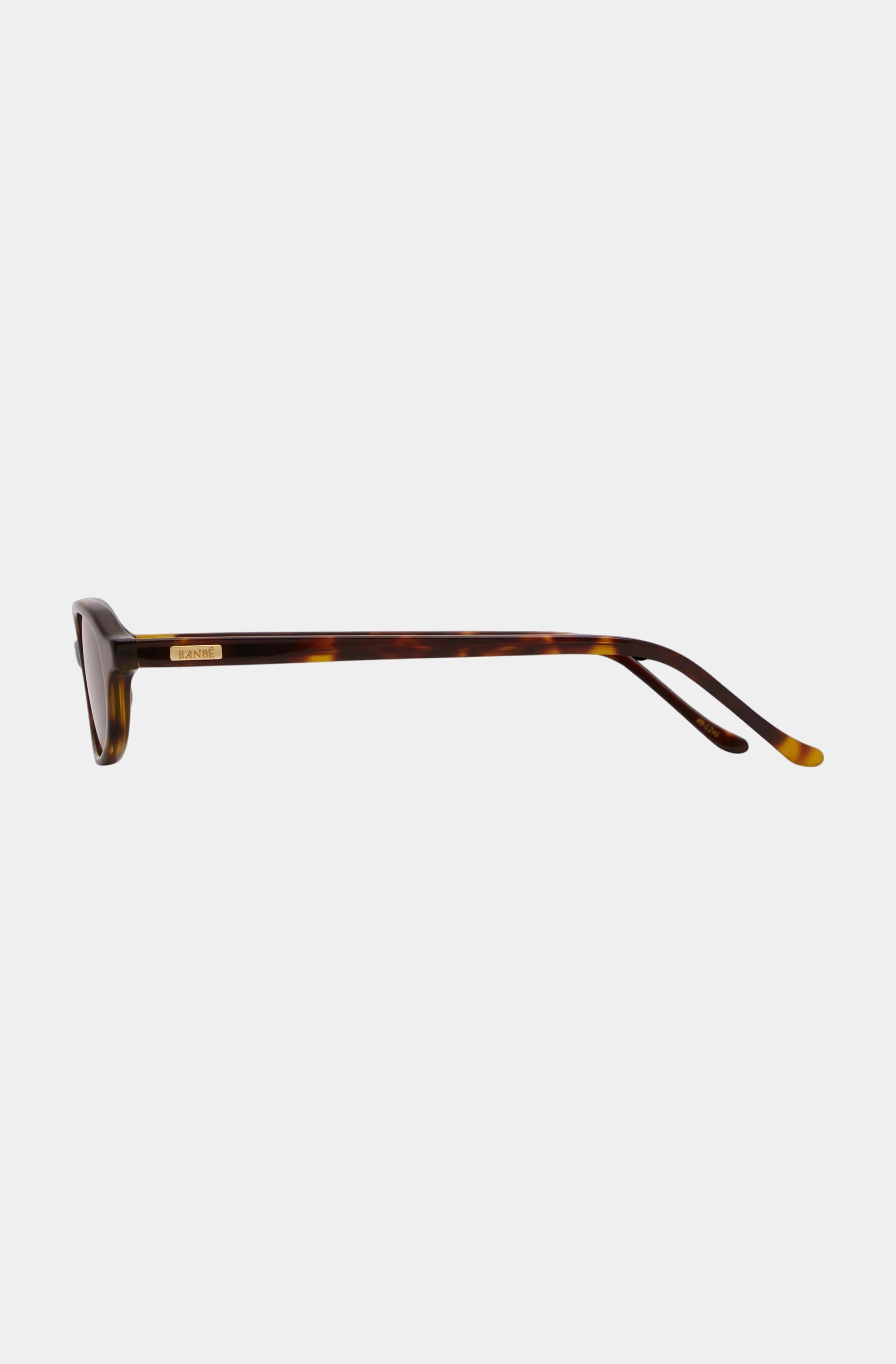 The Cassel Sunglass