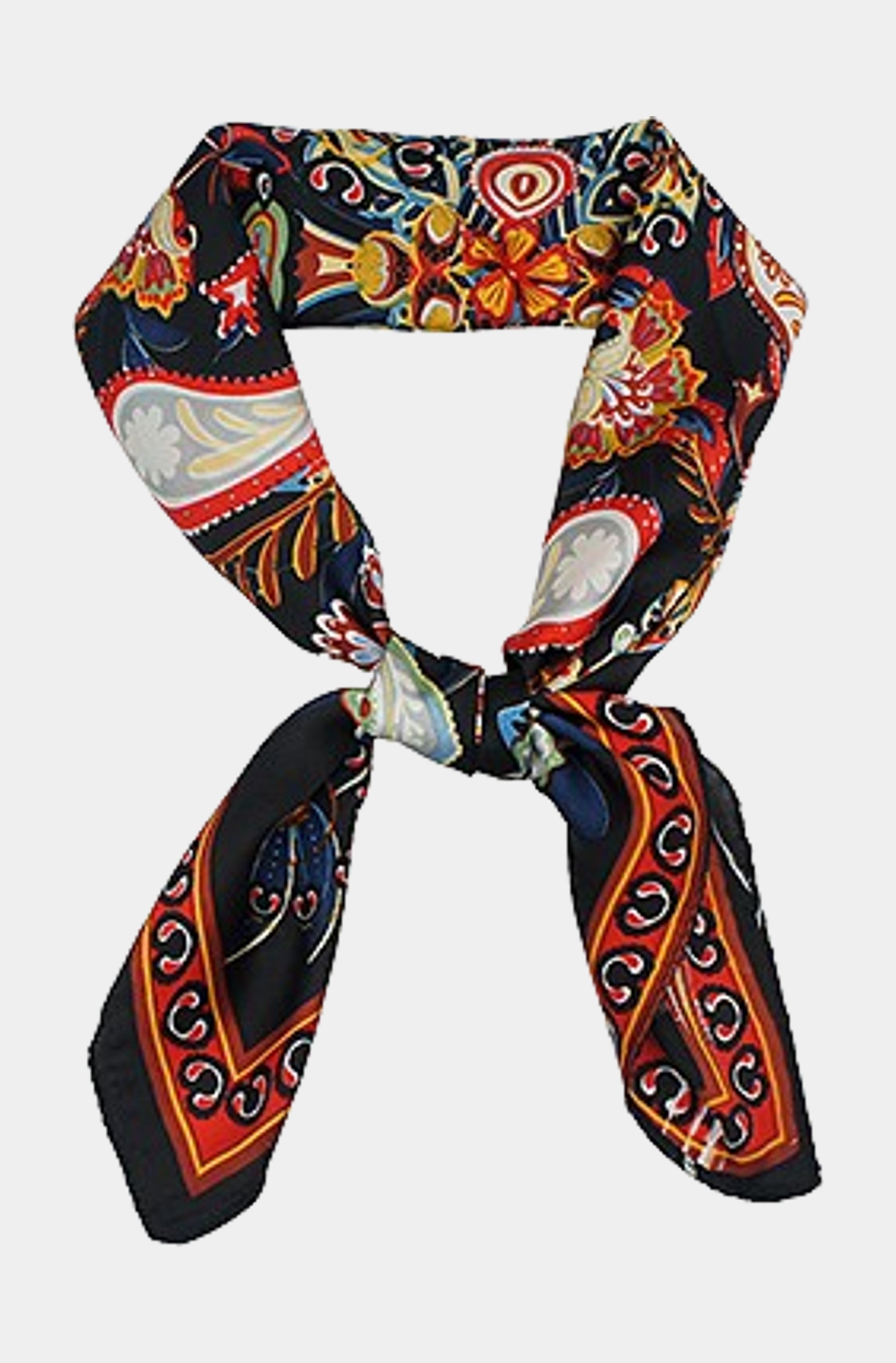 Bohemian Paisley Border Scarf