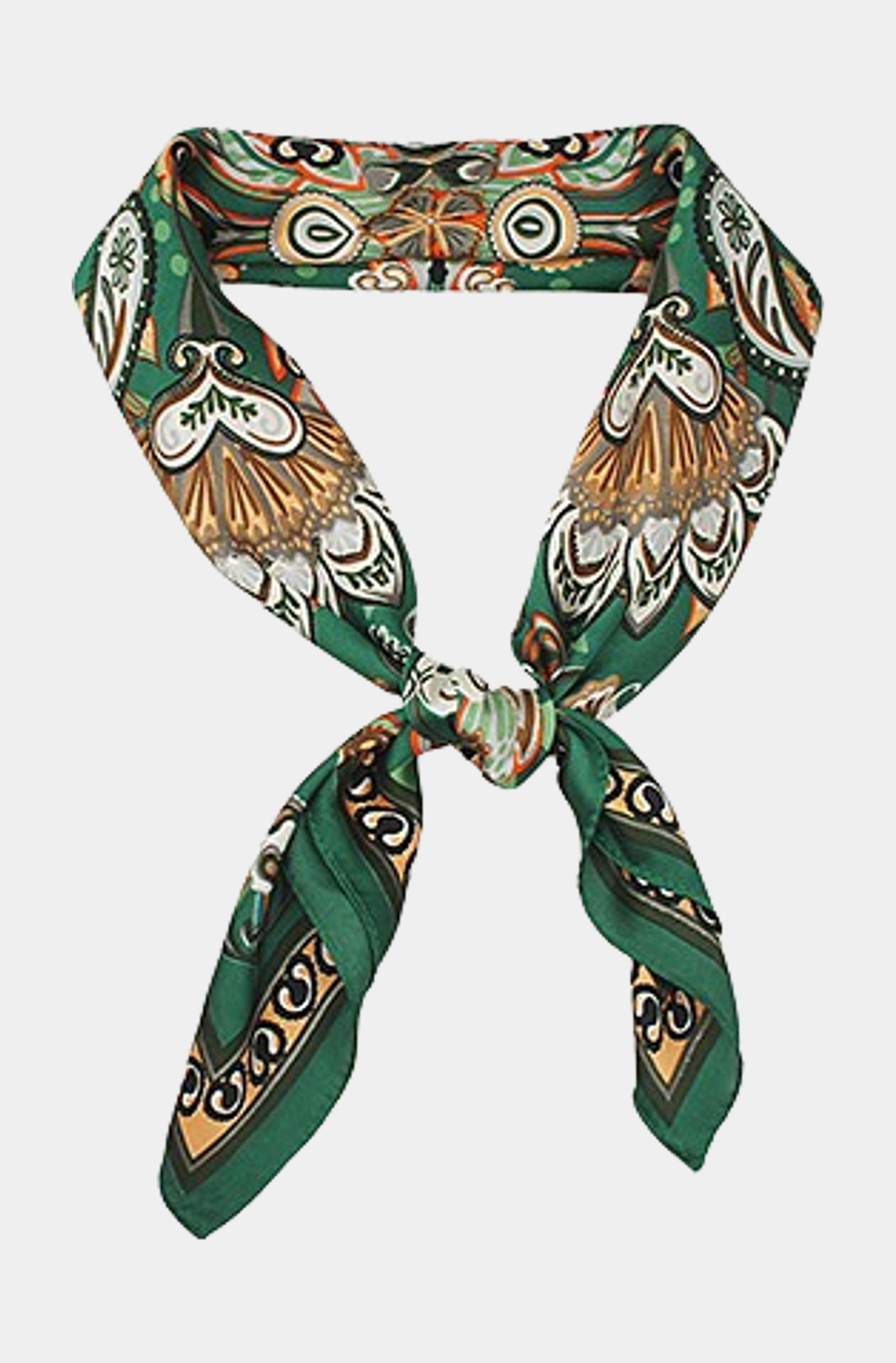 Bohemian Paisley Border Scarf