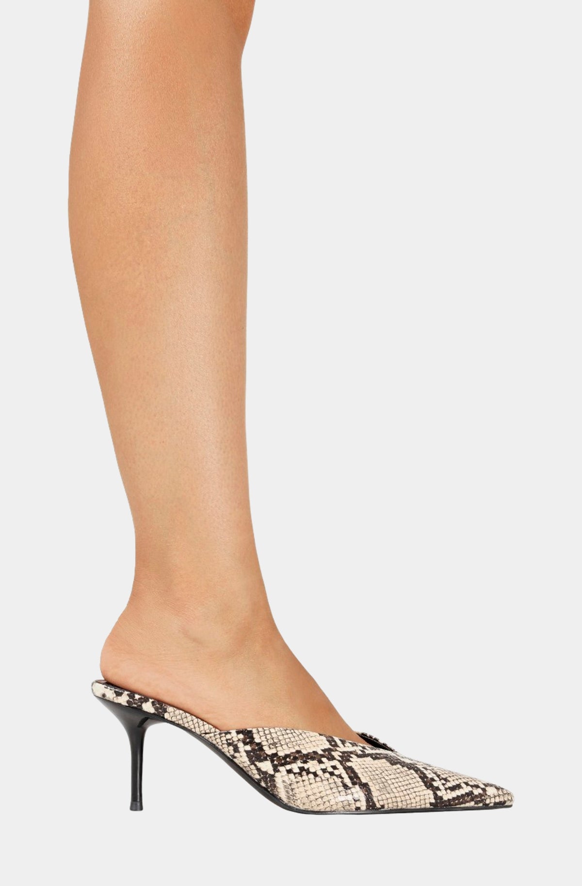 Davie Heel