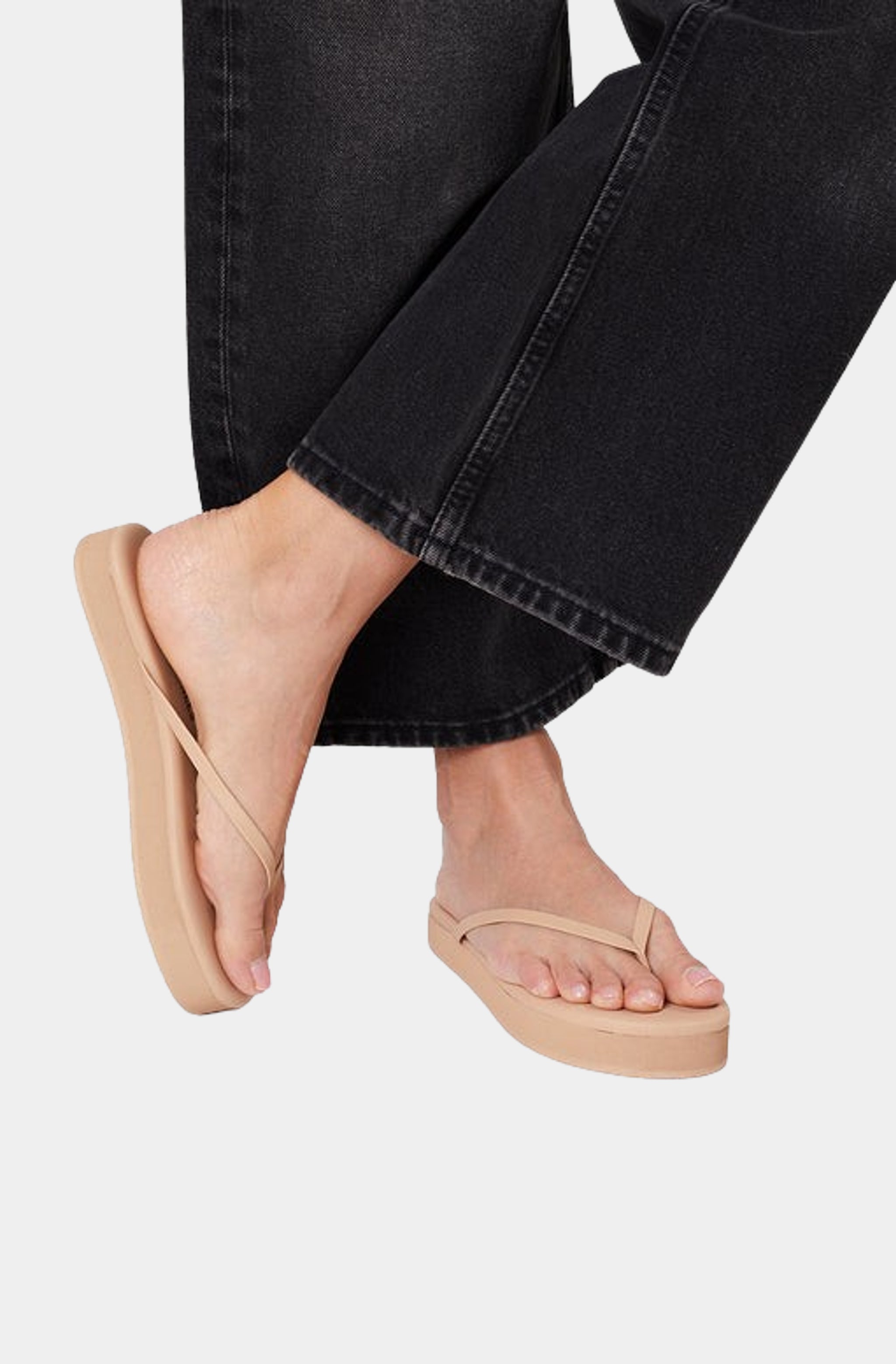 Platform Lily