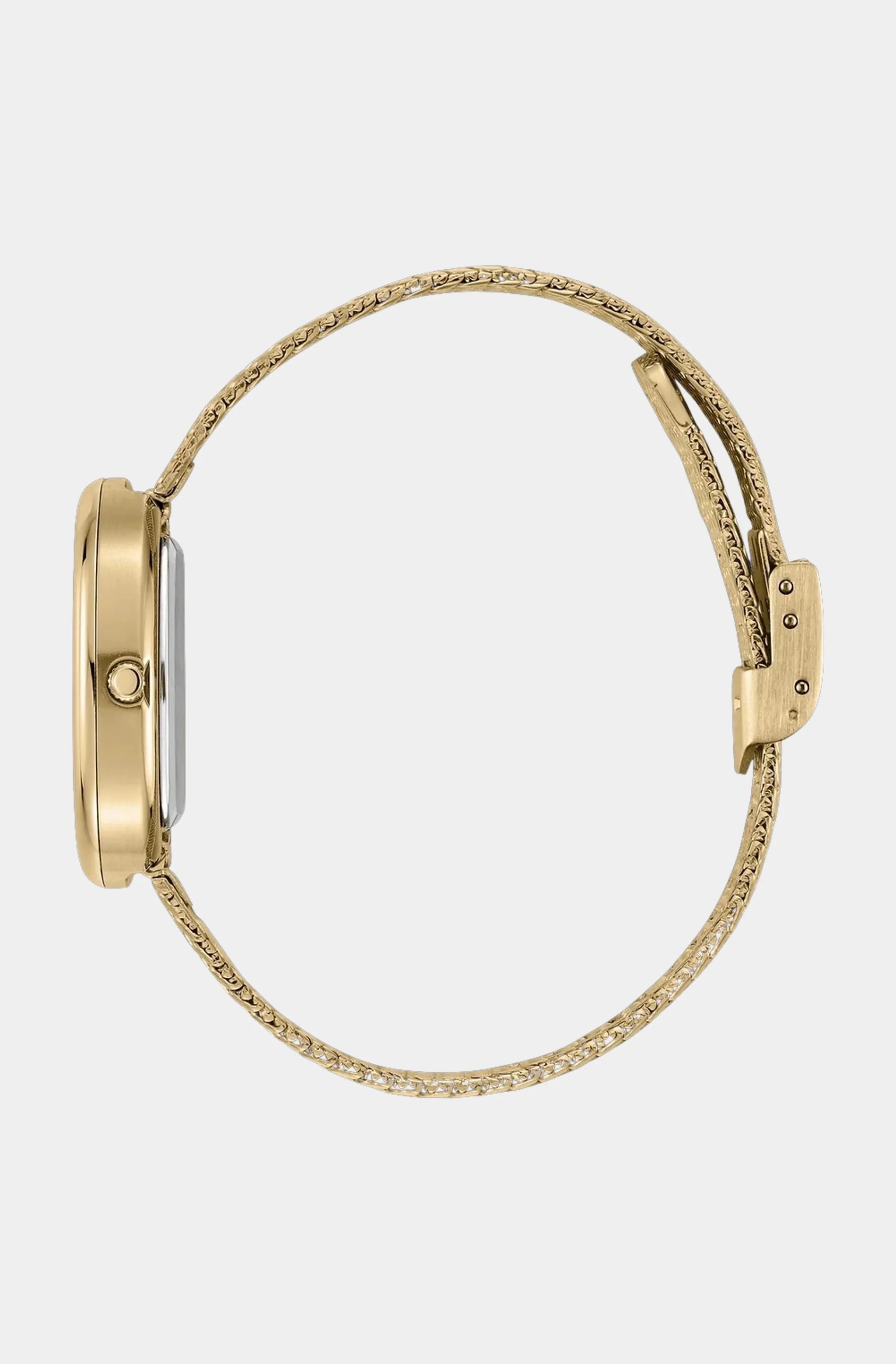 Jane (Tethered) Oval Watch 23mm